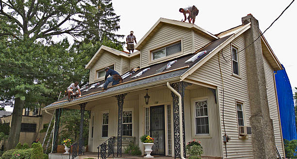Roof Gutter Cleaning in De Leon Springs, FL